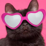 Valentine's Day Cupid Bash